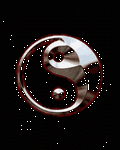 pic for yin yang